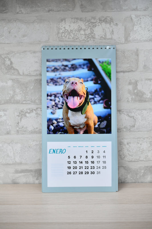 Calendario